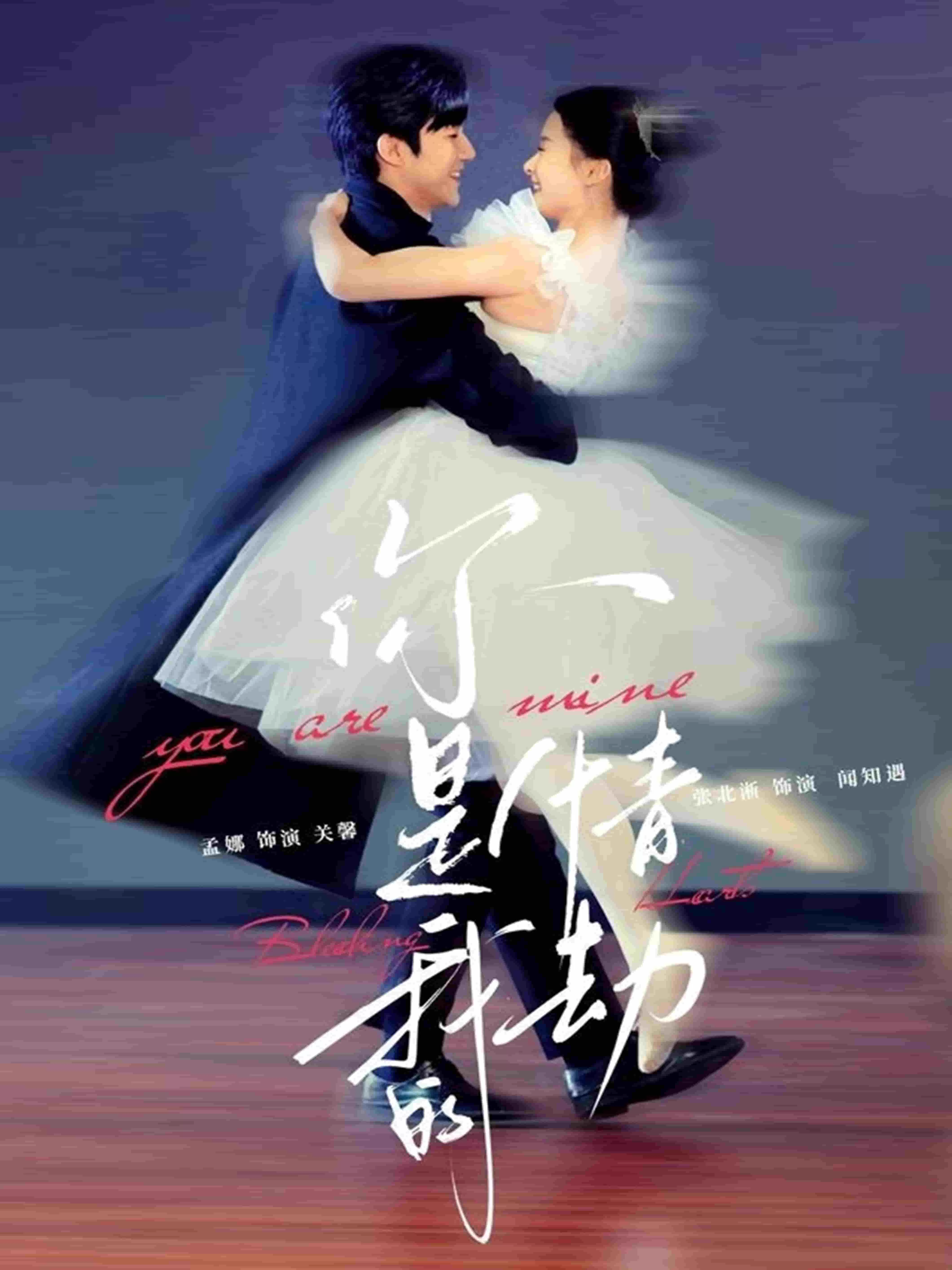 你是我的情劫